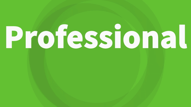 Professional 注文
